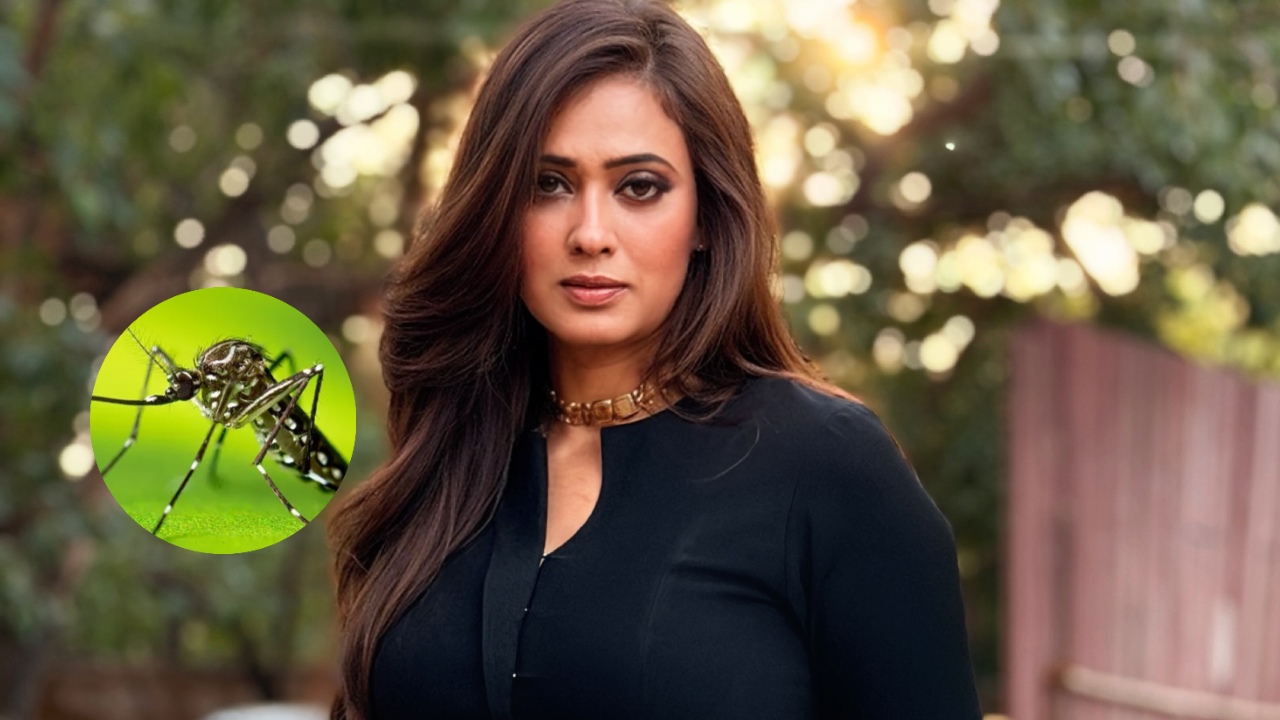 Shweta Tiwari Diagnosed With Dengue Just A Day Before Traitors 2 Launch—Reports 1