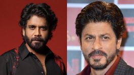 Will Nagarjuna and Shah Rukh Khan Clash at the Box Office This December?