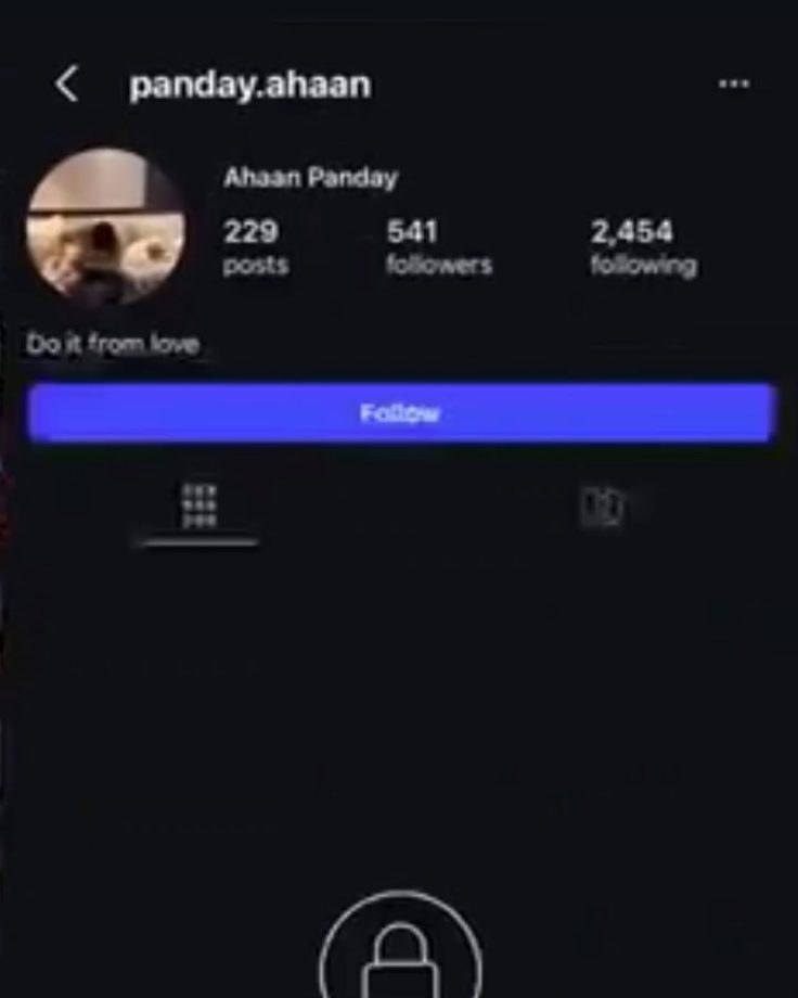 Ahaan Panday's Private Instagram Account Follows OnlyFans Model — Here's What We Know 1