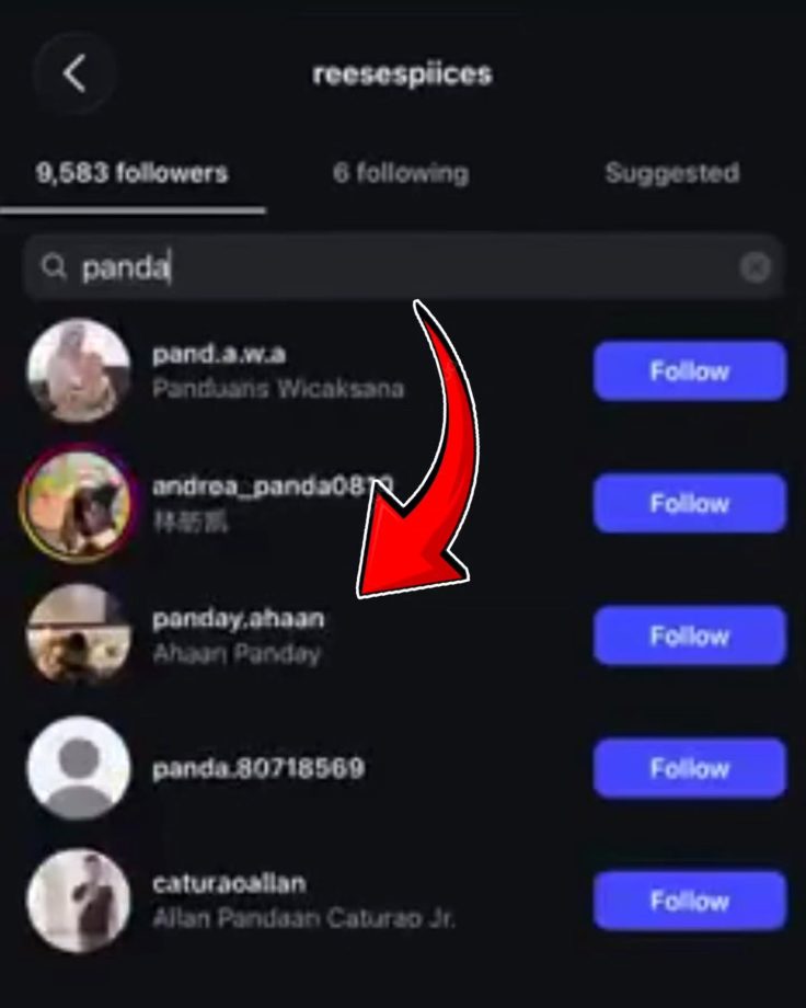 Ahaan Panday's Private Instagram Account Follows OnlyFans Model — Here's What We Know 1