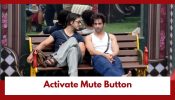 Bigg Boss 20: Qazi Touqeer and Aman Gandhi activate the 'Mute Button'; Read here to know why