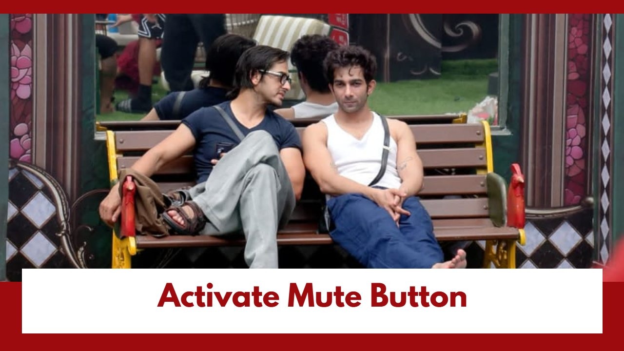Bigg Boss 20: Qazi Touqeer and Aman Gandhi activate the 'Mute Button'; Read here to know why 1