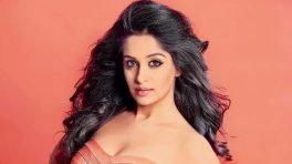 Dipika Kakar Opens Up On Facing Body Shaming, Low Phase And More