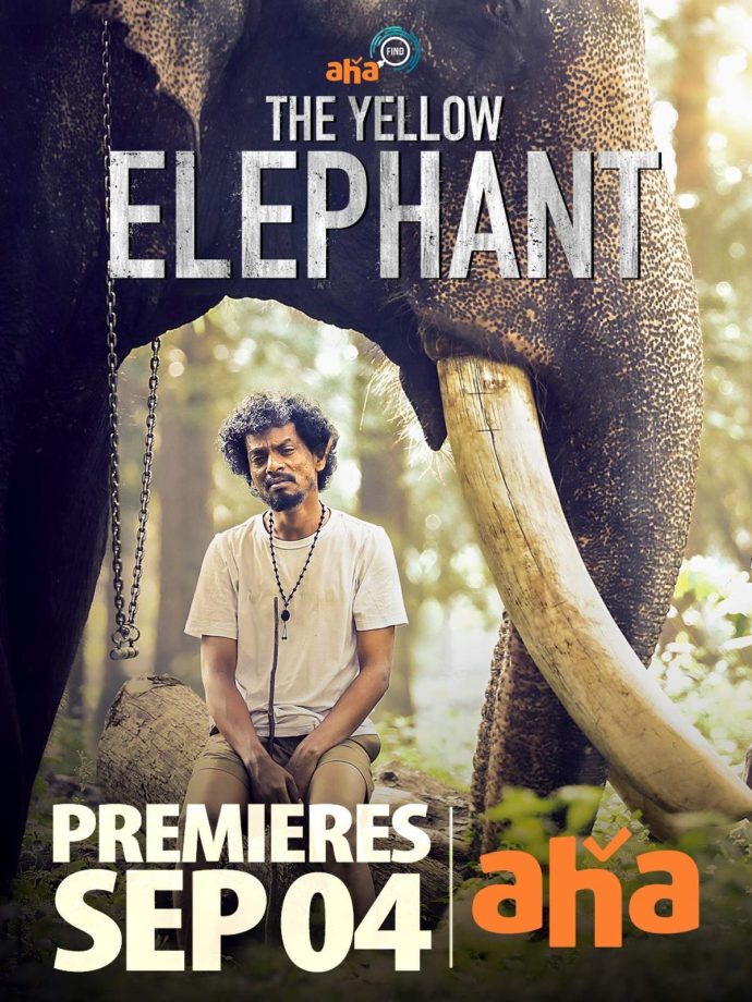 OTT Releases This Week: Hindi, South & English Movies And Shows Releasing From September (2-6) 1