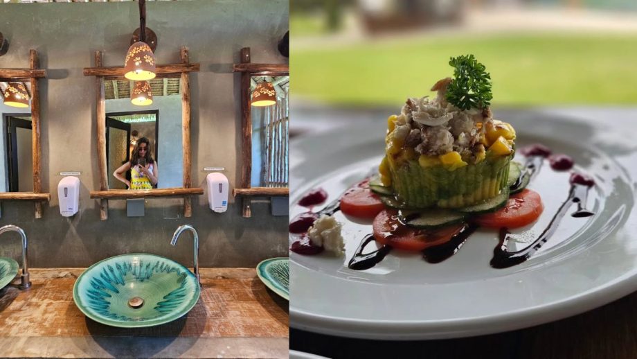 Peek Into Khatron Ke Khiladi 15 Contestant Avika Gor's Tropical Gateway Moments 1