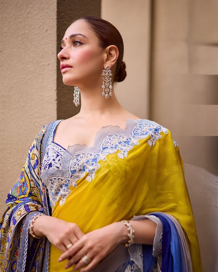 Tamannaah Bhatia’s The VVAAN Look Celebrates Bihar Heritage With Madhubani Artistry 1