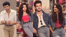 TV Celebrities Embrace 80s Trend: Dipika Kakar, Shoaib Ibrahim, Rati Pandey, Arjun Bijlani Bringing Retro Glam To 2026
