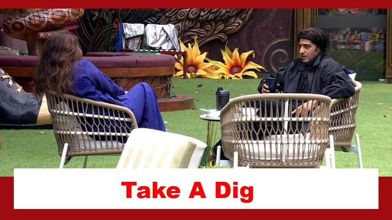 Bigg Boss 20: Mahhi and Qazi take a dig at Aman's dynamic with Uditi 1