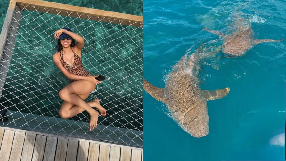 Khushi Kapoor Reunites With Rumoured Boyfriend Aakash Mehta in Maldives? 1