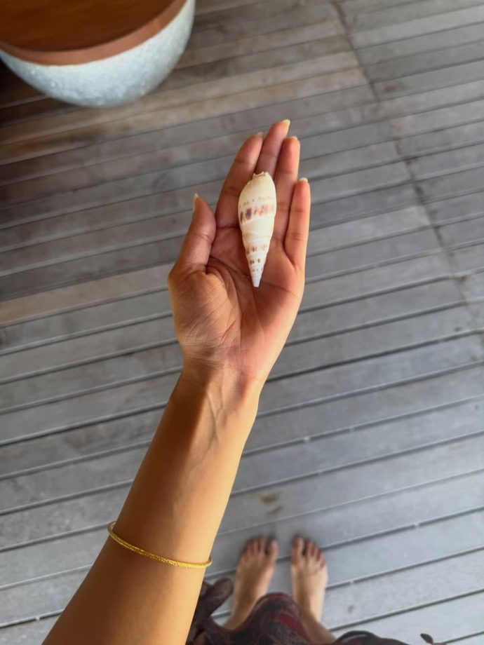 Malavika Mohanan Bikini Look: Actress Embraces Beach Fashion While Exploring The Ocean 1