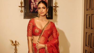 Malavika Mohanan’s Ethnic Elegance: A Saree Or Lehenga—Which Look Is Attention-Grabbing?