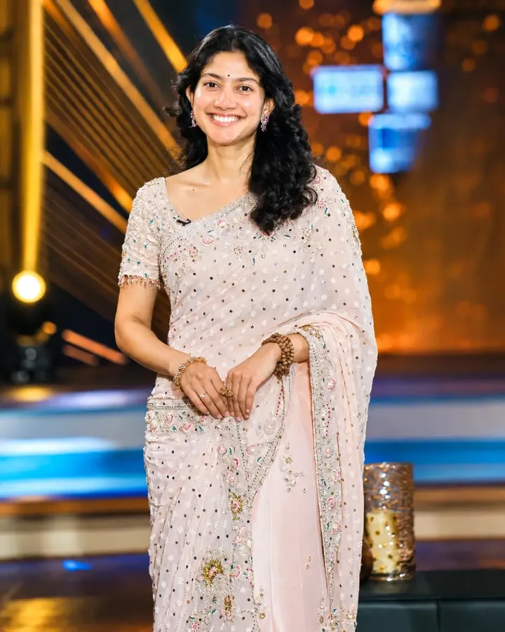 Sai Pallavi Pink Saree Look: Actress Serves Timeless Elegance In Shimmery Silver-Work Traditional Ensemble 1