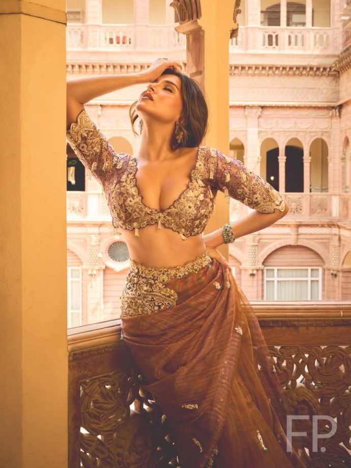 Tara Sutaria Looks Hot In Heavy Embroidered Saree Look From Bikaner 1