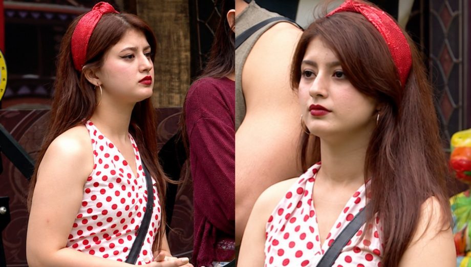 Times Arishfa Khan Redefined Understated Glamour In Decent Dressing In Bigg Boss 20 1